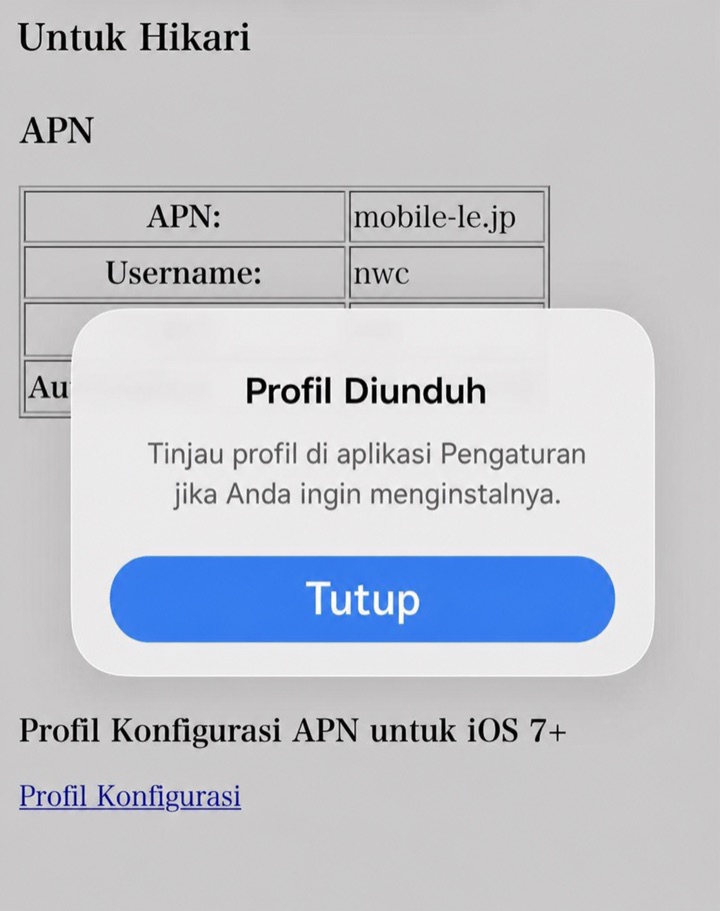 Pesan iPhone berbahasa Indonesia bahwa profil konfigurasi telah diunduh