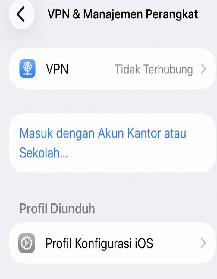 Daftar profil konfigurasi berbahasa Indonesia yang sudah diunduh di iPhone