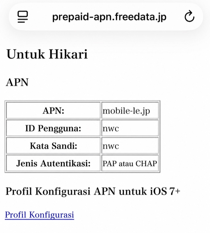 Halaman APN provider berbahasa Indonesia yang dibuka melalui Safari