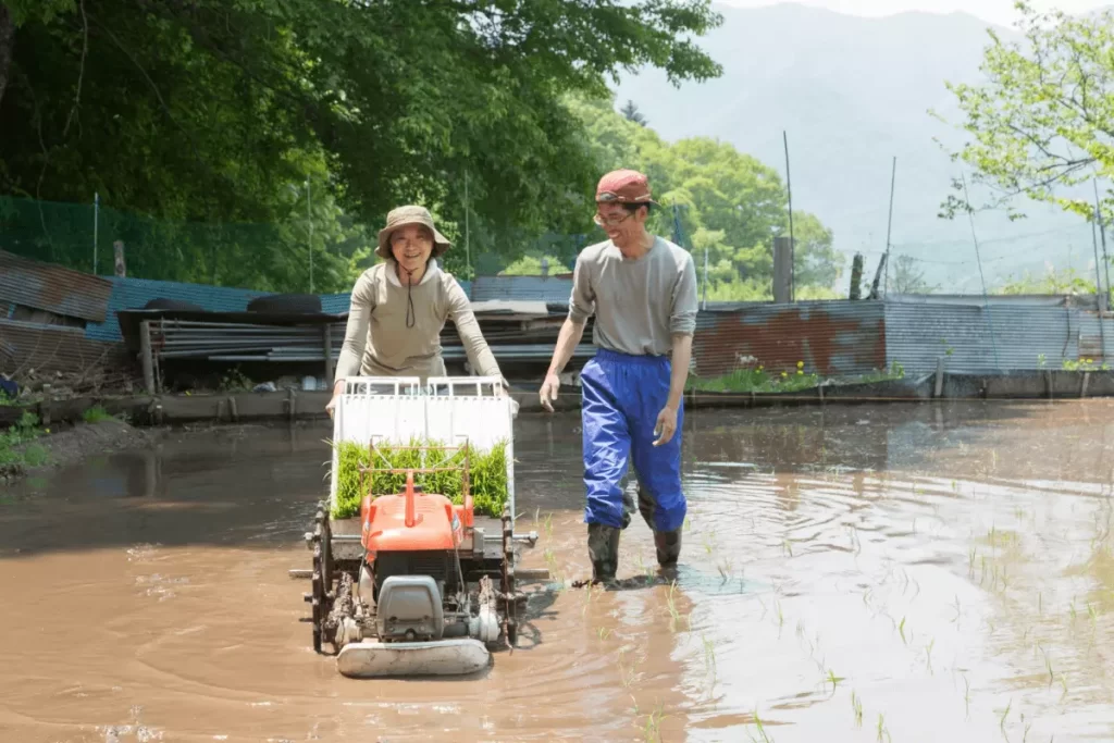Tips Sukses Menghadapi Proses Seleksi Lowongan Kerja Pertanian Di Jepang